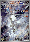 N's Reshiram 228 Chasing Glory Together NM