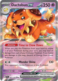 Dachsbun ex 067/142 Holo SV07: Stellar Crown NM
