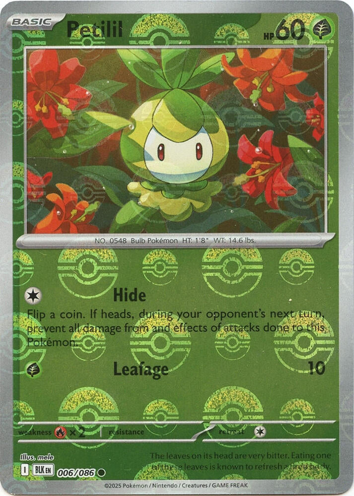 Petilil (Poke Ball Pattern) 006/086 Holo SV: Black Bolt NM