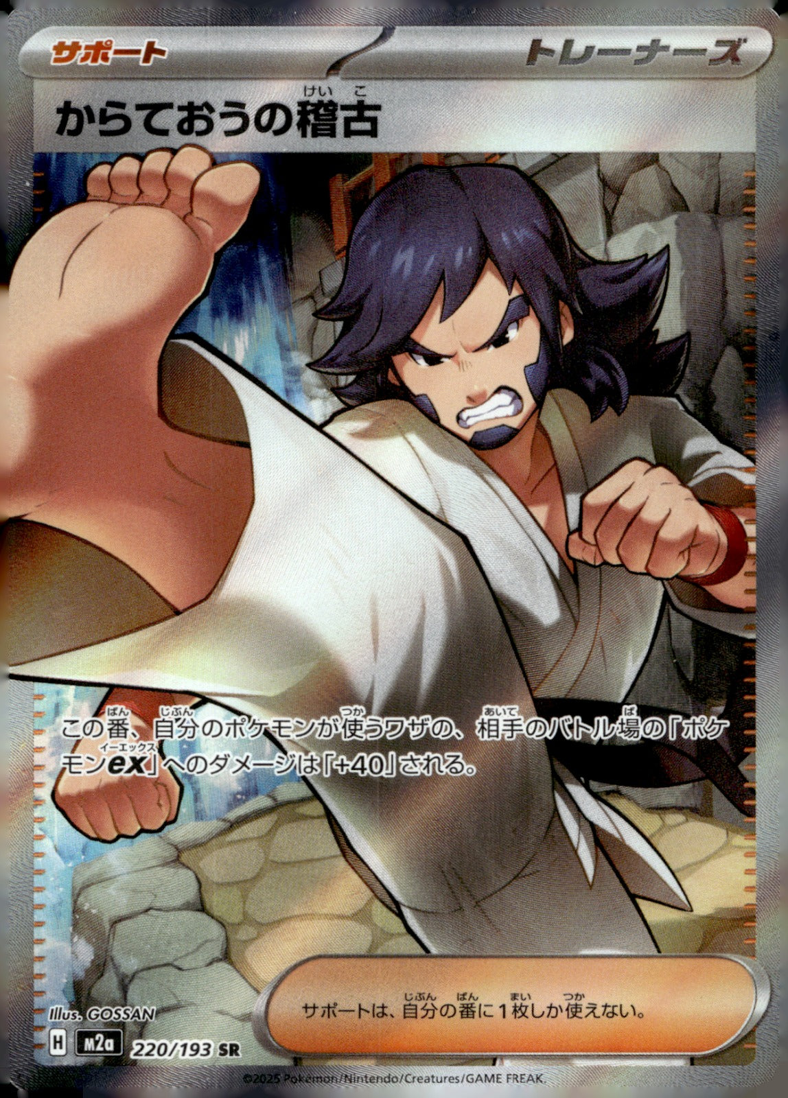 Black Belt's Training 220/193 Holo M2a: High Class Pack: MEGA Dream ex NM